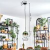 Koyoto Hanglamp, Kogellampje, Hanglamp Groen, Duidelijk, 1-licht