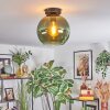 Koyoto Plafondlamp, Kogellampje Groen, 1-licht