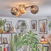 Chehalis Plafondlamp, Kogellampje Amber, Duidelijk, Rookkleurig, 5-lichts