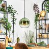 Koyoto Hanglamp, Kogellampje, Hanglamp 25 cm Groen, Duidelijk, 1-licht
