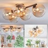 Chehalis Plafondlamp, Kogellampje Amber, Duidelijk, 5-lichts