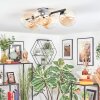Chehalis Plafondlamp, Kogellampje Amber, Duidelijk, 5-lichts