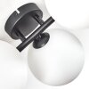Chehalis Plafondlamp, Kogellampje Wit, 5-lichts