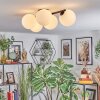 Chehalis Plafondlamp, Kogellampje Wit, 5-lichts