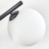Chehalis Plafondlamp, Kogellampje Wit, 5-lichts