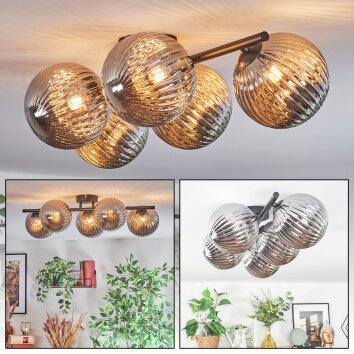 Chehalis Plafondlamp, Kogellampje Rookkleurig, 5-lichts