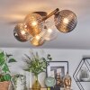 Chehalis Plafondlamp, Kogellampje Amber, Duidelijk, Rookkleurig, 5-lichts