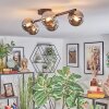 Chehalis Plafondlamp, Kogellampje Chroom, Rookkleurig, 5-lichts