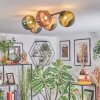 Chehalis Plafondlamp, Kogellampje Blauw, Groen, Koperkleurig, Rookkleurig, 5-lichts