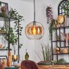 Koyoto Hanglamp, Kogellampje, Hanglamp 30 cm Amber, Duidelijk, 1-licht