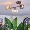 Chehalis Plafondlamp, Kogellampje Amber, Duidelijk, Rookkleurig, 3-lichts