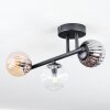 Chehalis Plafondlamp, Kogellampje Amber, Duidelijk, Rookkleurig, 3-lichts