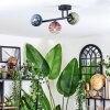 Chehalis Plafondlamp, Kogellampje Blauw, Groen, Duidelijk, Koperkleurig, 3-lichts