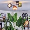 Chehalis Plafondlamp, Kogellampje Blauw, Groen, Duidelijk, Koperkleurig, 3-lichts