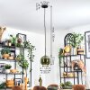 Koyoto Hanglamp, Kogellampje, Hanglamp Groen, 1-licht