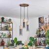 Dulcita Hanglamp, Hanglamp Bruin, 3-lichts