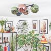 Chehalis Plafondlamp, Kogellampje Blauw, Chroom, Groen, Koperkleurig, Rookkleurig, 5-lichts