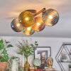 Chehalis Plafondlamp, Kogellampje Blauw, Groen, Koperkleurig, 5-lichts