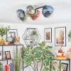 Chehalis Plafondlamp, Kogellampje Blauw, Groen, Duidelijk, Koperkleurig, 5-lichts