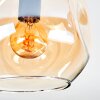 Ripoll Plafondlamp, Kogellampje Amber, Duidelijk, Rookkleurig, 4-lichts