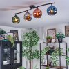 Ripoll Plafondlamp, Kogellampje Blauw, Chroom, Groen, Koperkleurig, Rookkleurig, 4-lichts