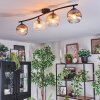 Ripoll Plafondlamp, Kogellampje Amber, Duidelijk, Rookkleurig, 4-lichts