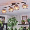 Ripoll Plafondlamp, Kogellampje Duidelijk, Rookkleurig, 4-lichts
