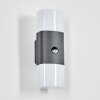 Felor Wandlamp voor buiten, Licht omhoog & omlaag, Wandlamp LED Antraciet, 2-lichts, Bewegingsmelder