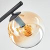 Gastor Plafondlamp, Kogellampje Amber, Duidelijk, Rookkleurig, 4-lichts