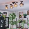Ripoll Plafondlamp, Kogellampje Amber, Duidelijk, Rookkleurig, 4-lichts
