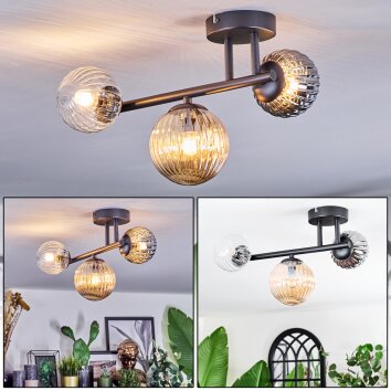 Chehalis Plafondlamp, Kogellampje Amber, Duidelijk, Rookkleurig, 3-lichts
