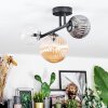 Chehalis Plafondlamp, Kogellampje Amber, Duidelijk, Rookkleurig, 3-lichts