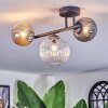 Chehalis Plafondlamp, Kogellampje Amber, Duidelijk, Rookkleurig, 3-lichts