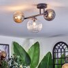 Chehalis Plafondlamp, Kogellampje Amber, Duidelijk, Rookkleurig, 3-lichts