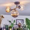 Chehalis Plafondlamp, Kogellampje Amber, Duidelijk, Rookkleurig, 3-lichts