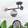 Chehalis Plafondlamp, Kogellampje Amber, Duidelijk, Rookkleurig, 3-lichts