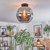 Ripoll Plafondlamp, Kogellampje Rookkleurig, 1-licht