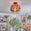Ripoll Plafondlamp, Kogellampje Duidelijk, Koperkleurig, 1-licht