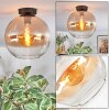 Koyoto Plafondlamp, Kogellampje 30 cm Amber, Duidelijk, 1-licht