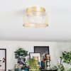 Folar Plafondlamp LED Goud, 1-licht
