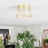 Folar Plafondlamp LED Goud, 1-licht