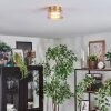 Folar Plafondlamp LED Goud, 1-licht