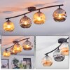 Ripoll Plafondlamp, Kogellampje Amber, Rookkleurig, 4-lichts