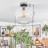Ripoll Plafondlamp, Kogellampje Duidelijk, 1-licht