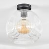 Ripoll Plafondlamp, Kogellampje Duidelijk, 1-licht