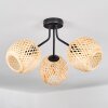 Basto Plafondlamp, Kogellampje Natuurlijke kleuren, 3-lichts