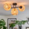 Basto Plafondlamp, Kogellampje Natuurlijke kleuren, 3-lichts