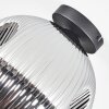 Ripoll Plafondlamp, Kogellampje Chroom, Rookkleurig, 1-licht