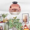 Ripoll Plafondlamp, Kogellampje Duidelijk, Koperkleurig, 1-licht