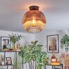 Ripoll Plafondlamp, Kogellampje Duidelijk, Koperkleurig, 1-licht